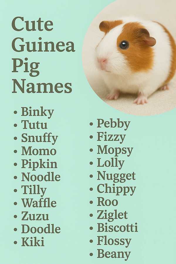Cute Guinea Pig Names