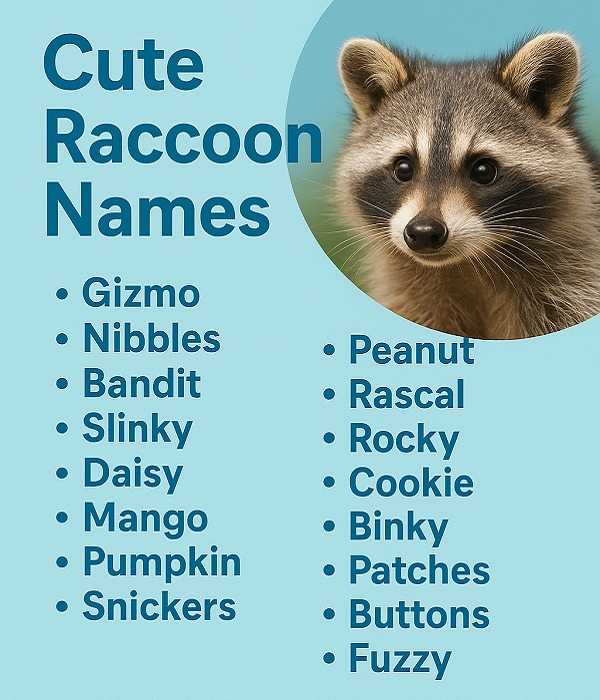 Cute Raccoon Names