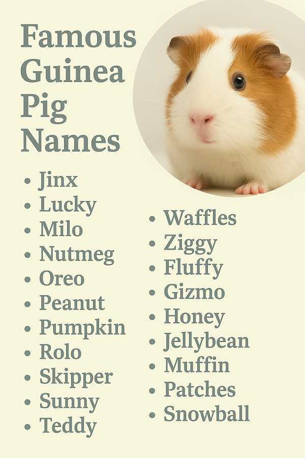 Famous Guinea Pig Names
