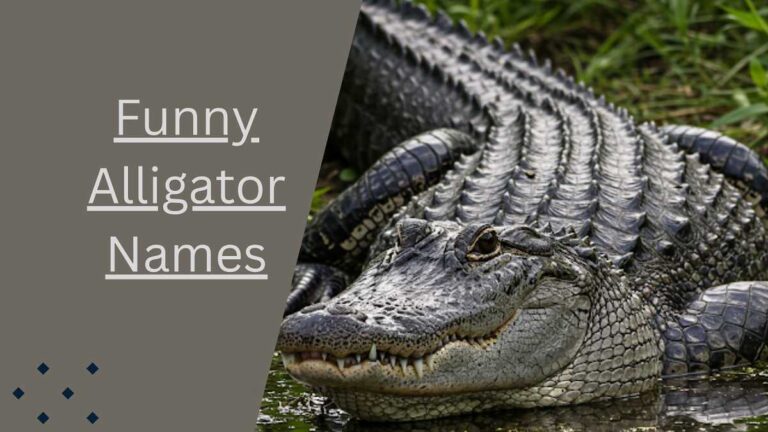 Alligator Names