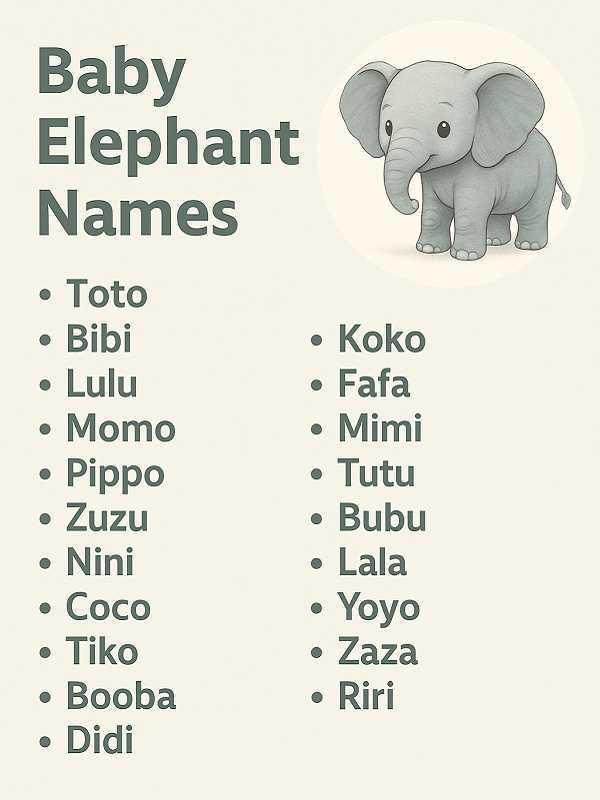 Baby Elephant Names