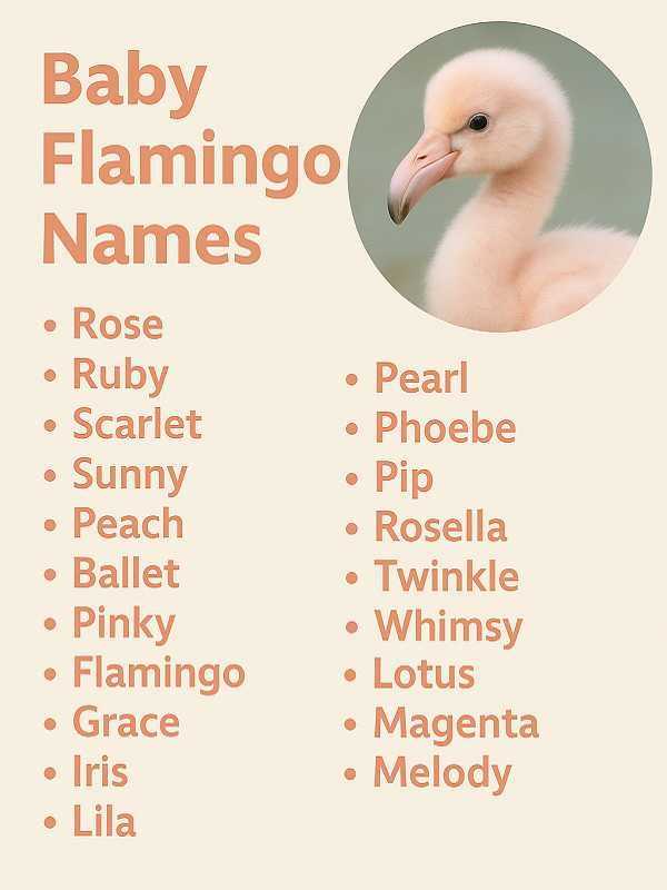 Baby Flamingo Names
