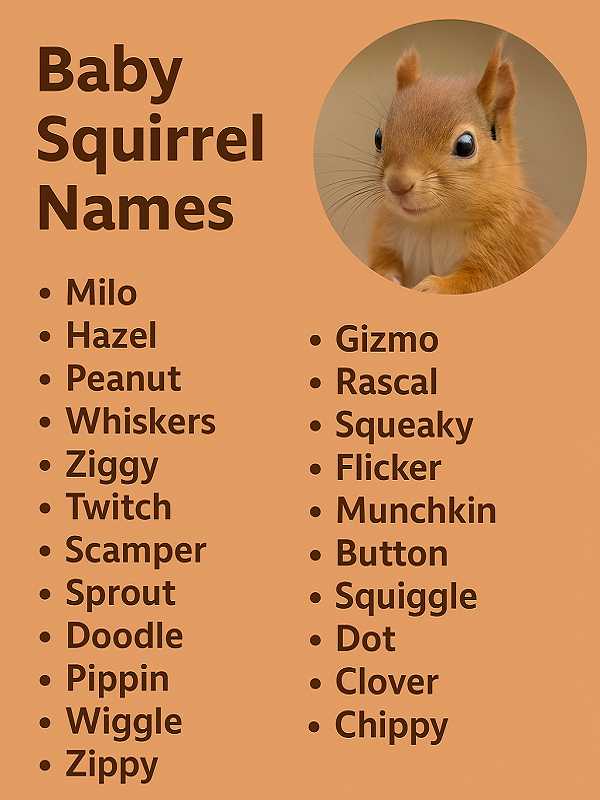Baby Squirrel Names