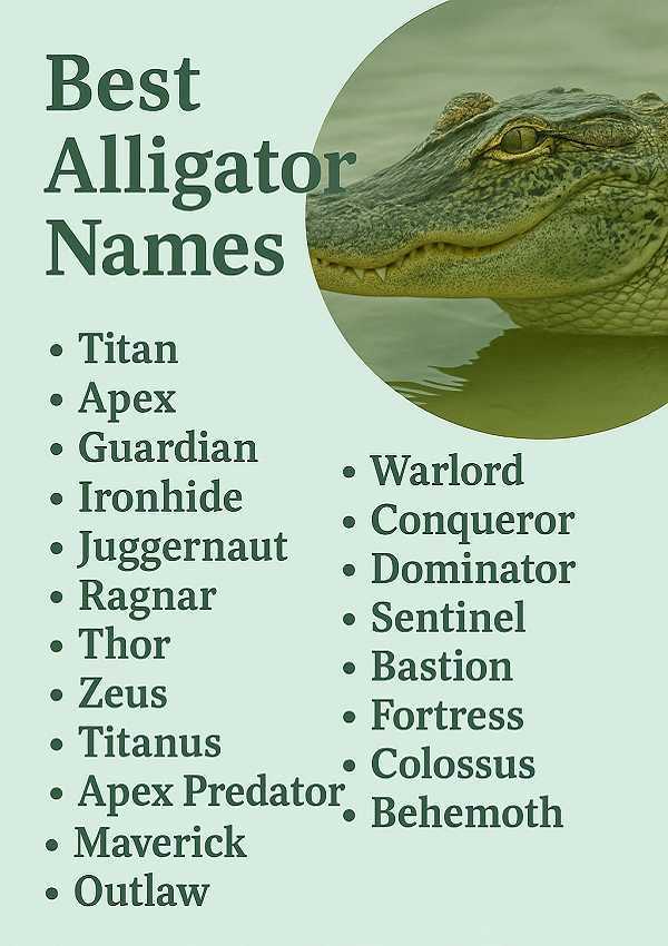 Best Alligator Names