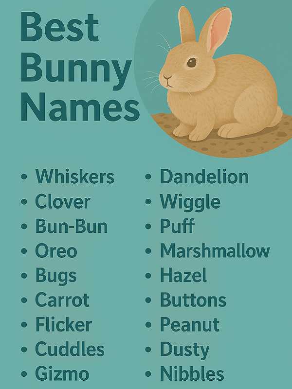 Best Bunny Names
