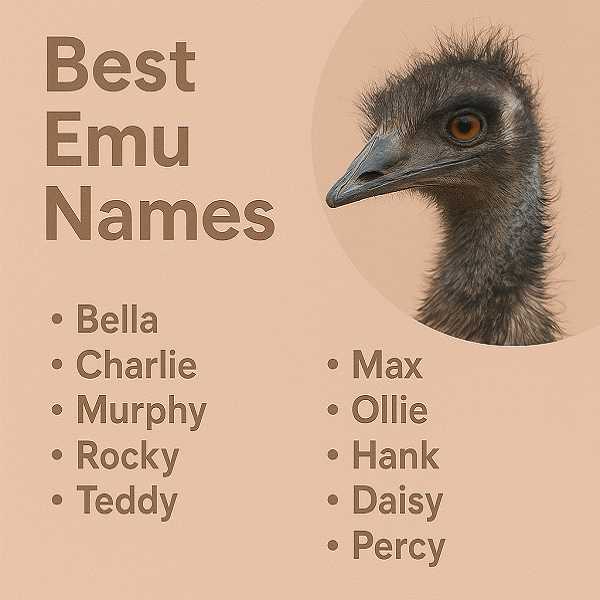 Best Emu Names