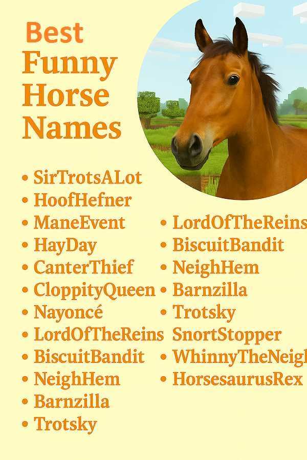 Best Funny Horse Names