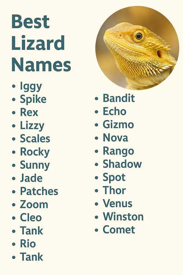 Best Lizard Names