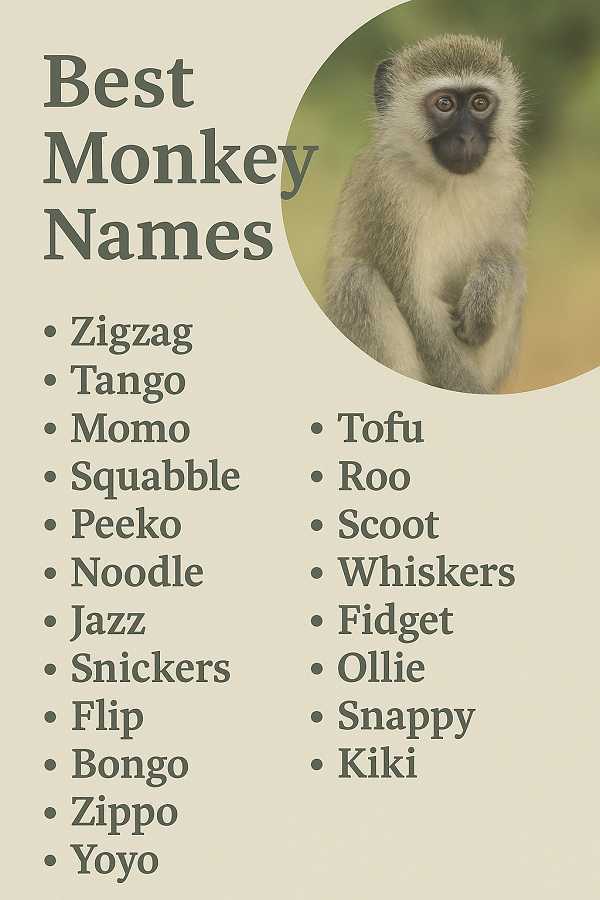 Best Monkey Names