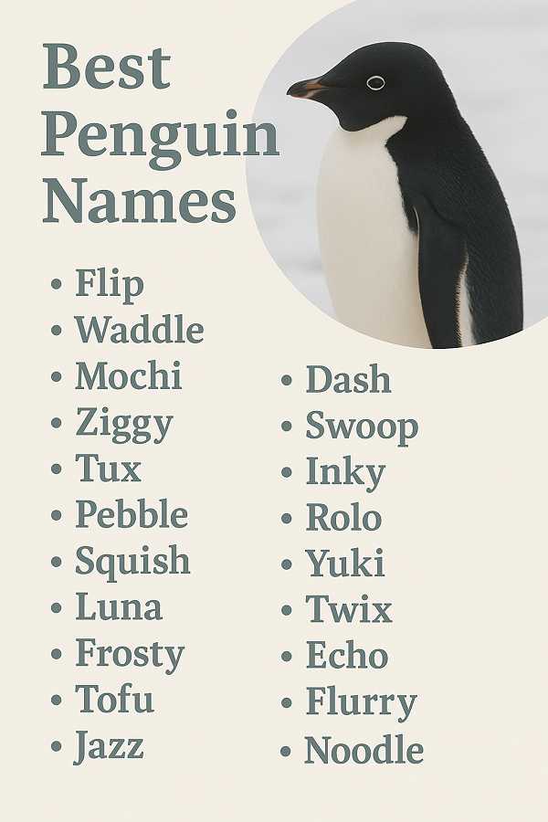 Best Penguin Names