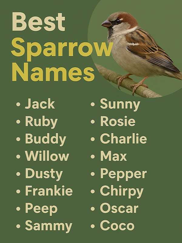 Best Sparrow Names