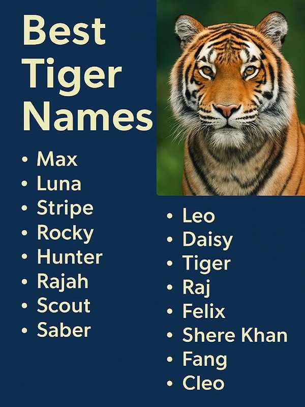 Best Tiger Names