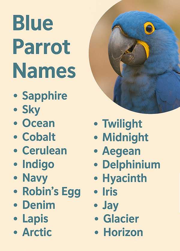 Blue Parrot Names