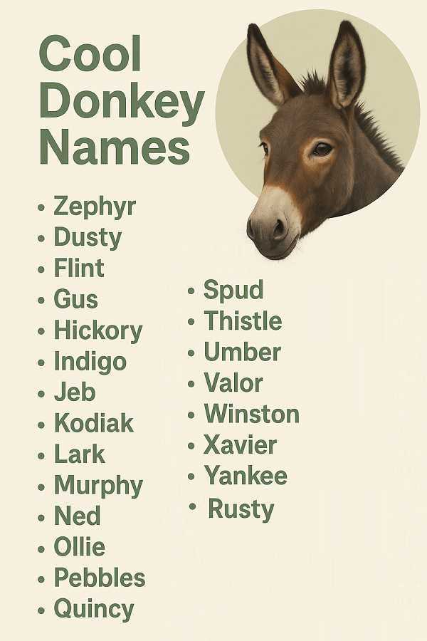 Cool Donkey Names