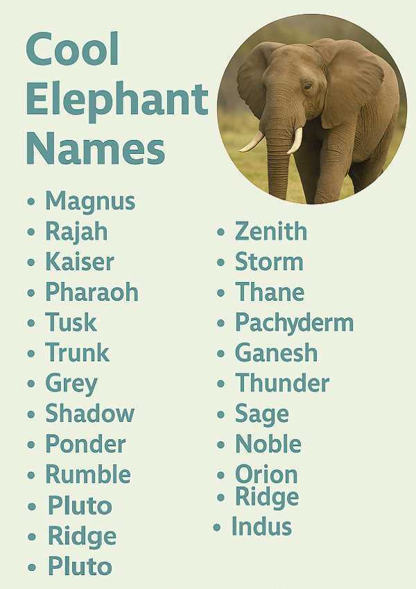 Cool Elephant Names