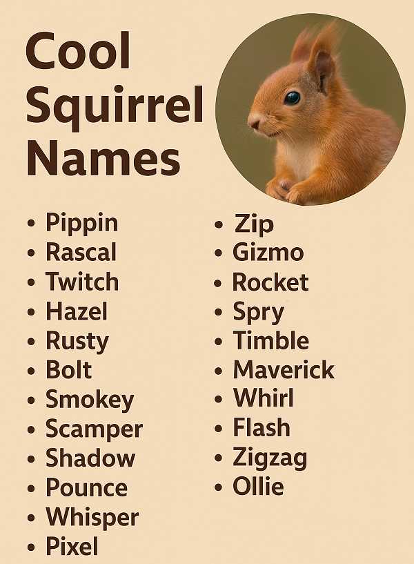 Cool Squirrel Names