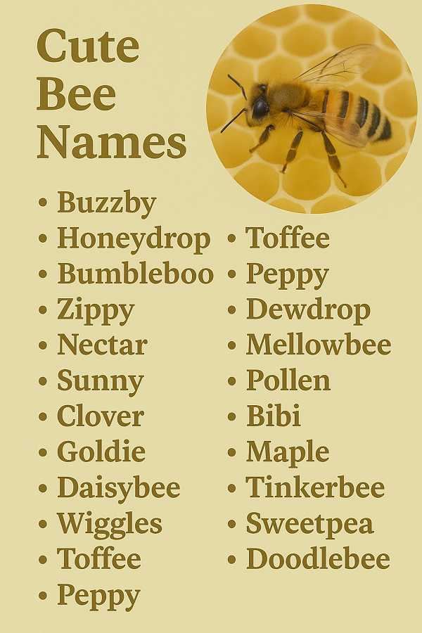 Cute Bee Names