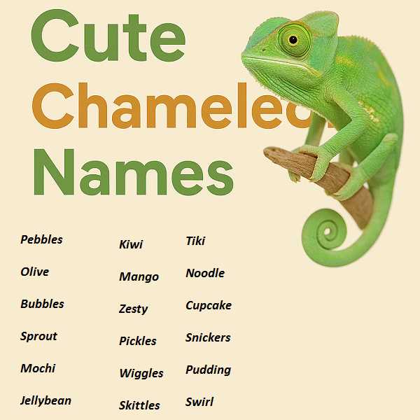 Cute Chameleon Names