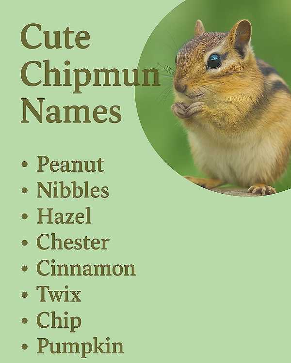 Cute Chipmunk Names