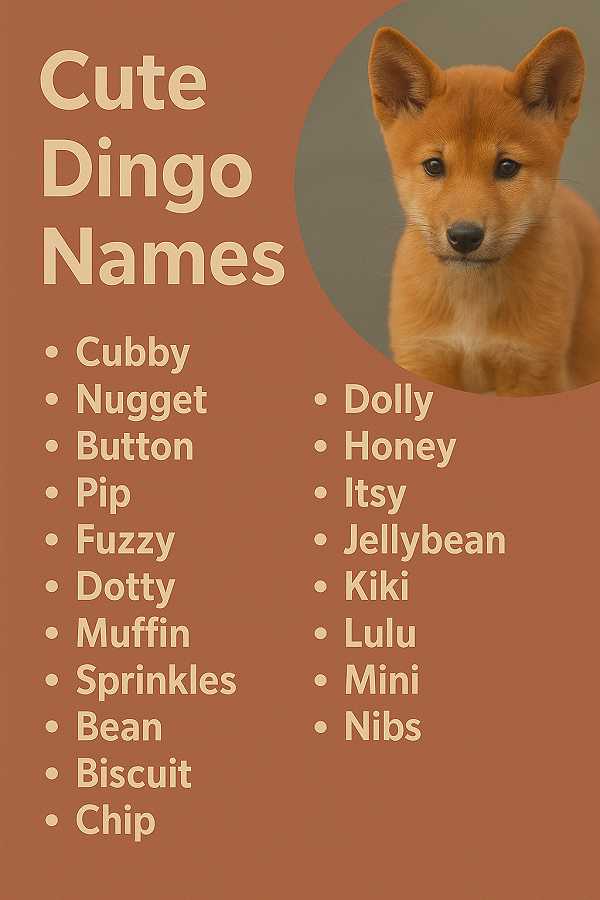 Cute Dingo Names