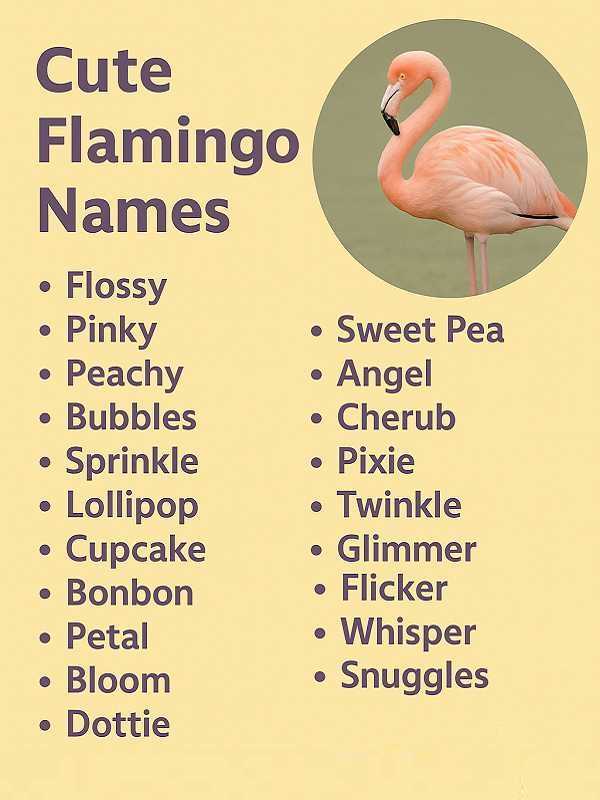 Cute Flamingo Names