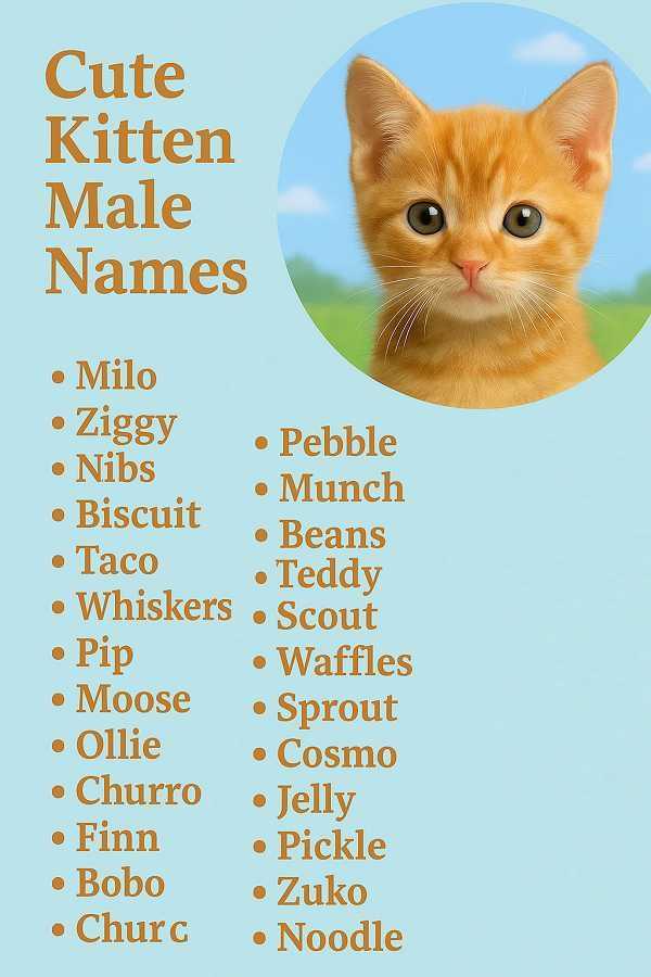 Cute Kitten Male Names