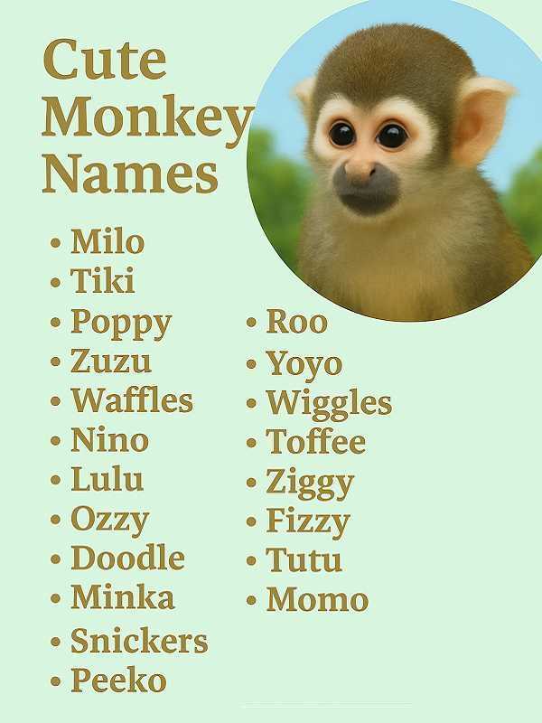 Cute Monkey Names