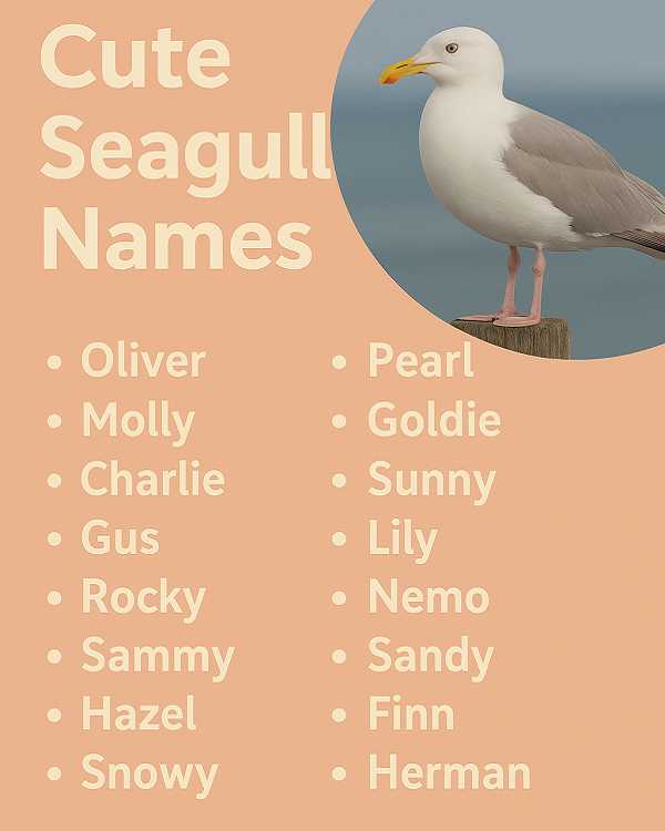 Cute Seagull Names