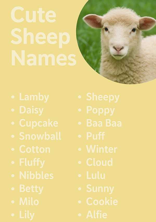 Cute Sheep Names