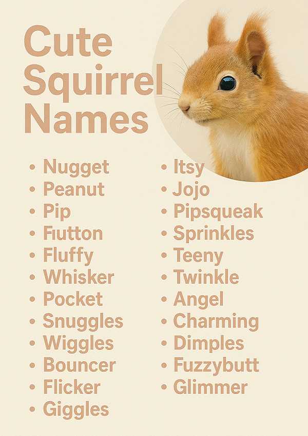 Cute Squirrel Names