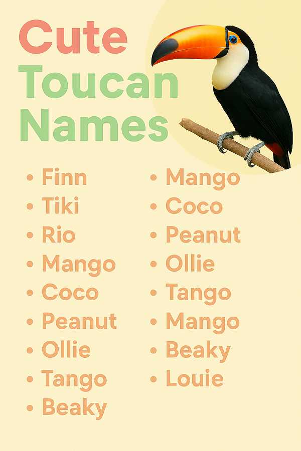 Cute Toucan Names