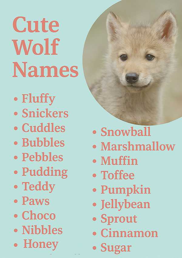 Cute Wolf Names