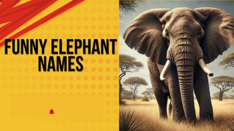 Elephant Names