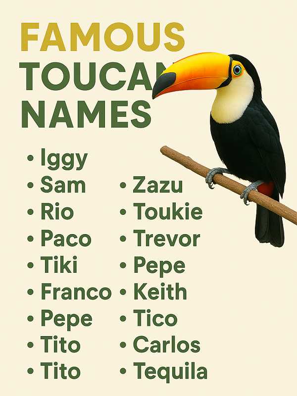 Famous Toucan Names