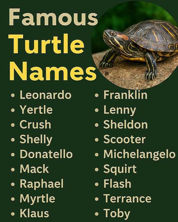 Famous Turtle Names