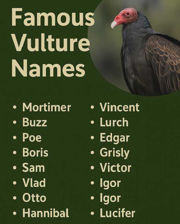 Famous Vulture Names