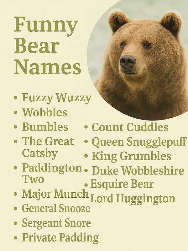 Funny Bear Names