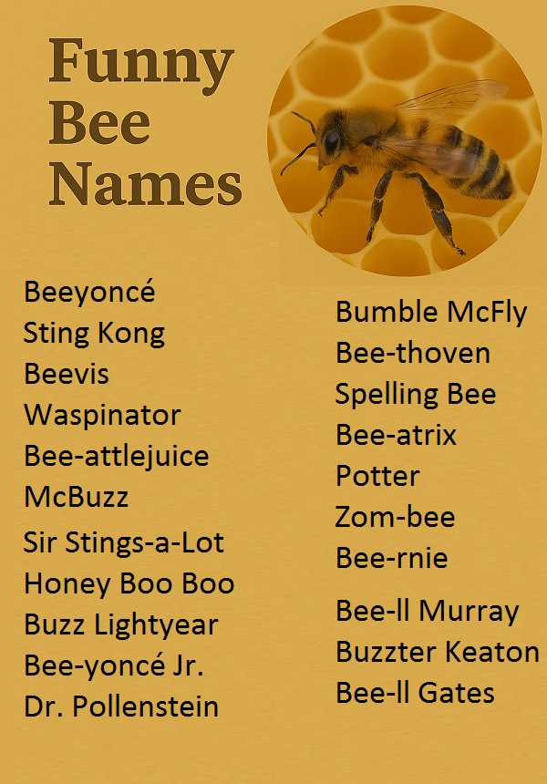 Funny Bee Names