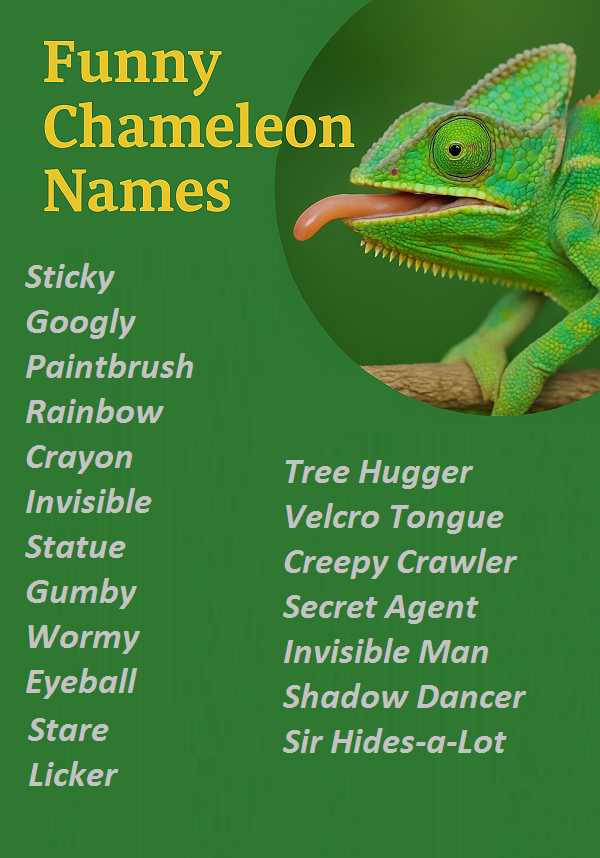 Funny Chameleon Names
