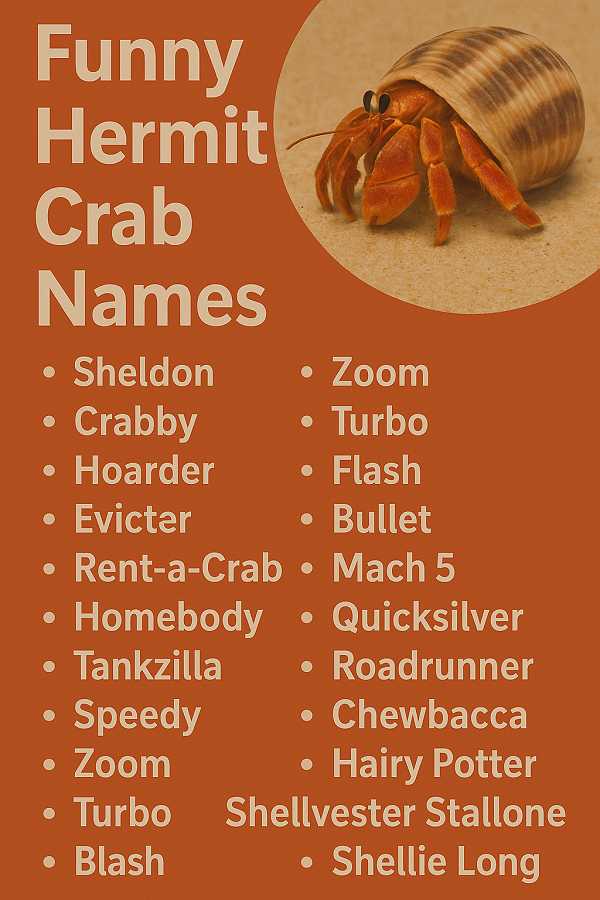 Funny Hermit Crab Names