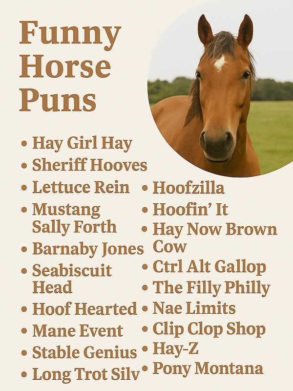 Funny Horse Names Puns