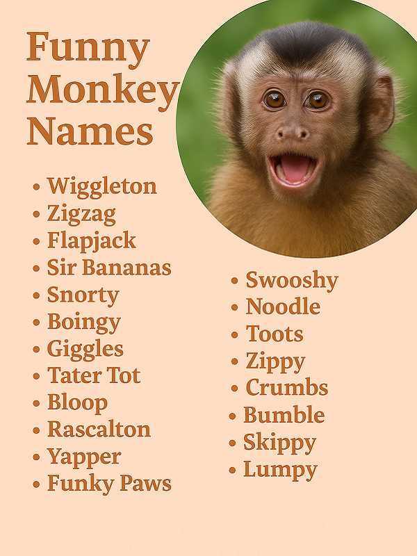 Funny Monkey Names