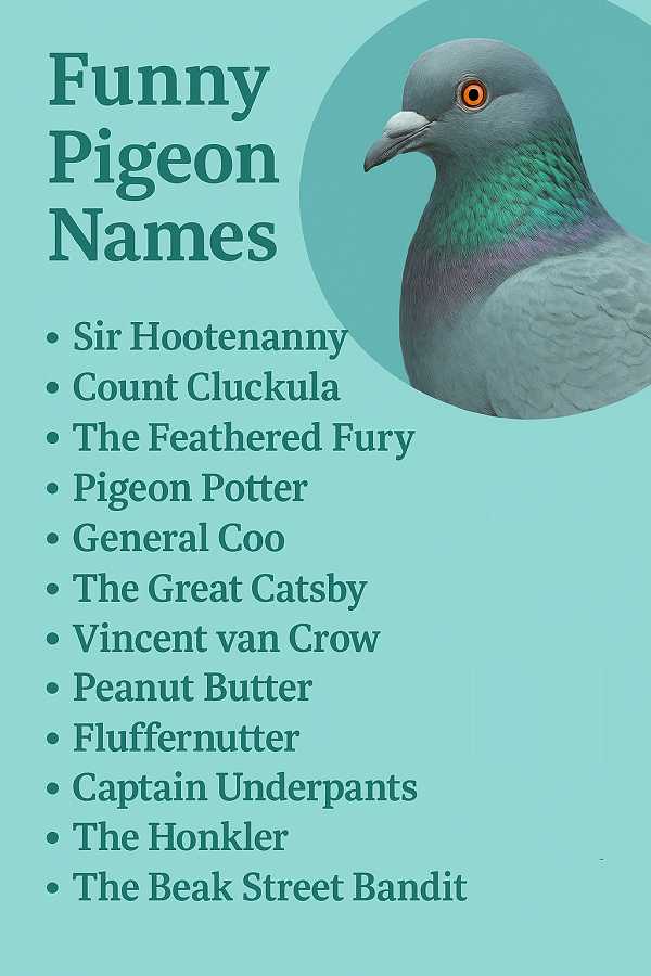 Funny Pigeon Names