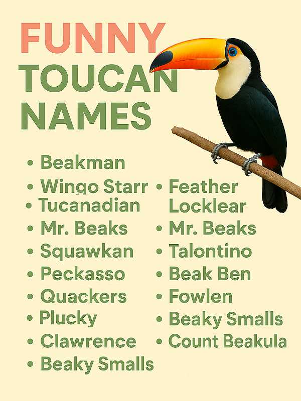 Funny Toucan Names