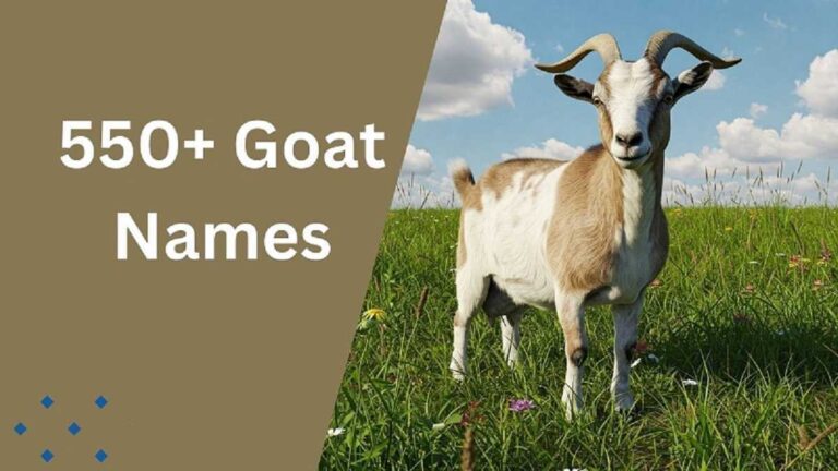 Goat Names