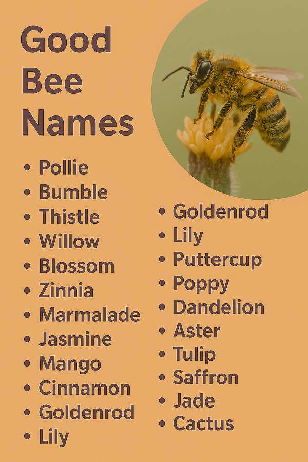 Good Bee Names