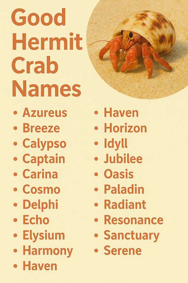 Good Hermit Crab Names 