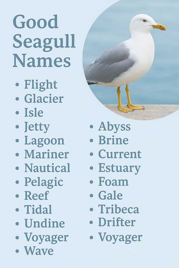 Good Seagull Names