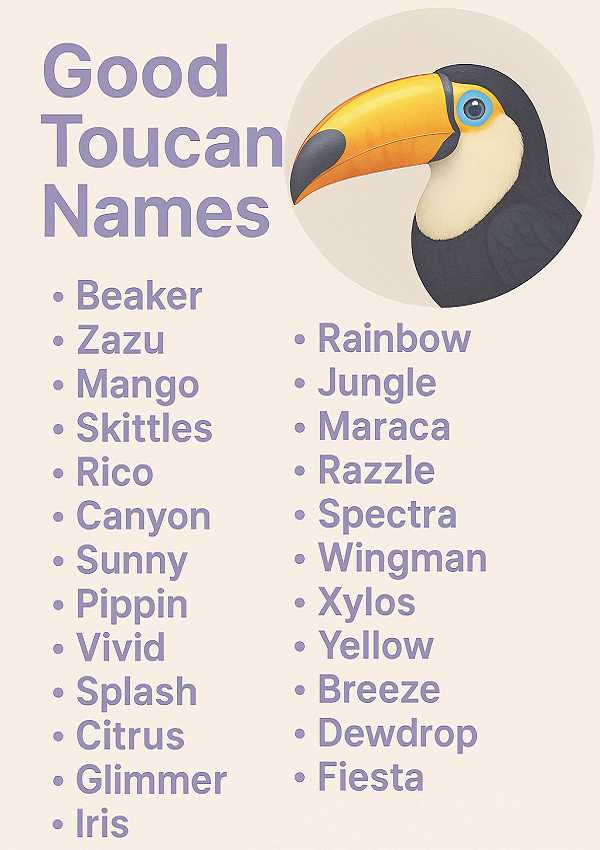 Good Toucan Names