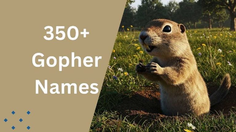 Gopher Names